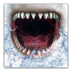 Masque en tissu hygiénique réutilisable 6-9 ans Requin  Produits de détente