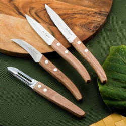 Ensemble de Couteaux Amefa Forest Wood 4 Pièces Knives and cutlery