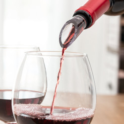 Weinflaschenkühler und Belüfter von InnovaGoods Wein