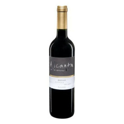 Vin rouge Alcanta Merlot (75 cl) Alcanta