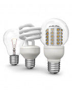 Ampoules LED et halogènes pour un éclairage efficace | Catégorie 